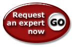 request an expert now